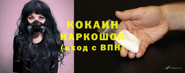 гашик Богданович