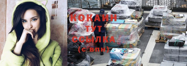 гашик Богданович