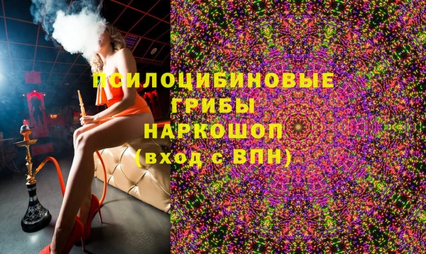 гашик Богданович