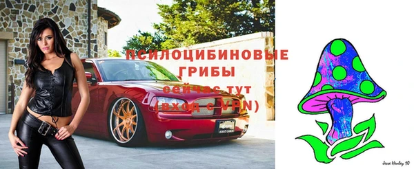каннабис Губаха