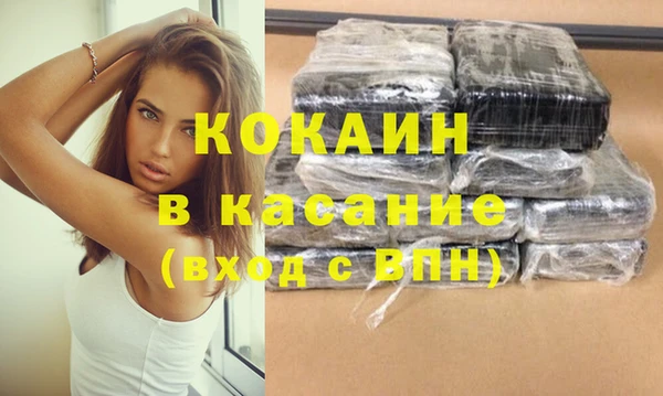 гашик Богданович