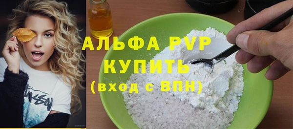 гашик Богданович