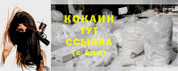 таблы Богородицк