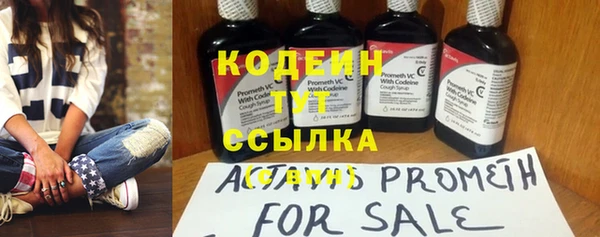гашик Богданович