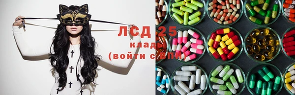 гашик Богданович